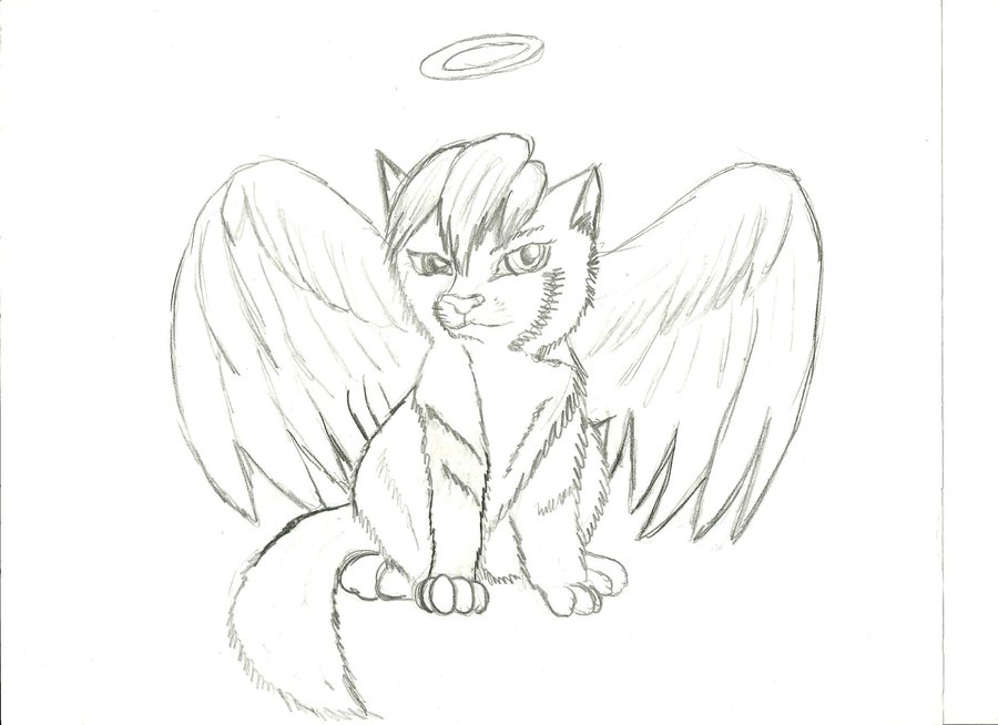 900x654 Anime Angel Wolf Puppy By Lucutiscody