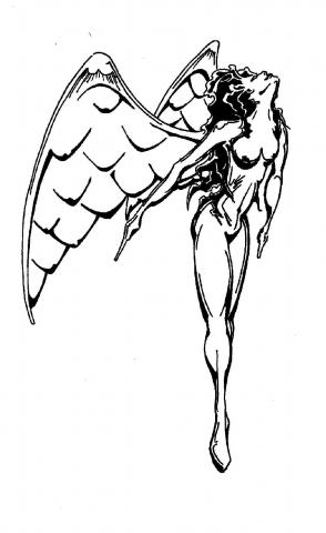 294x480 Angel Drawing Dustywashere