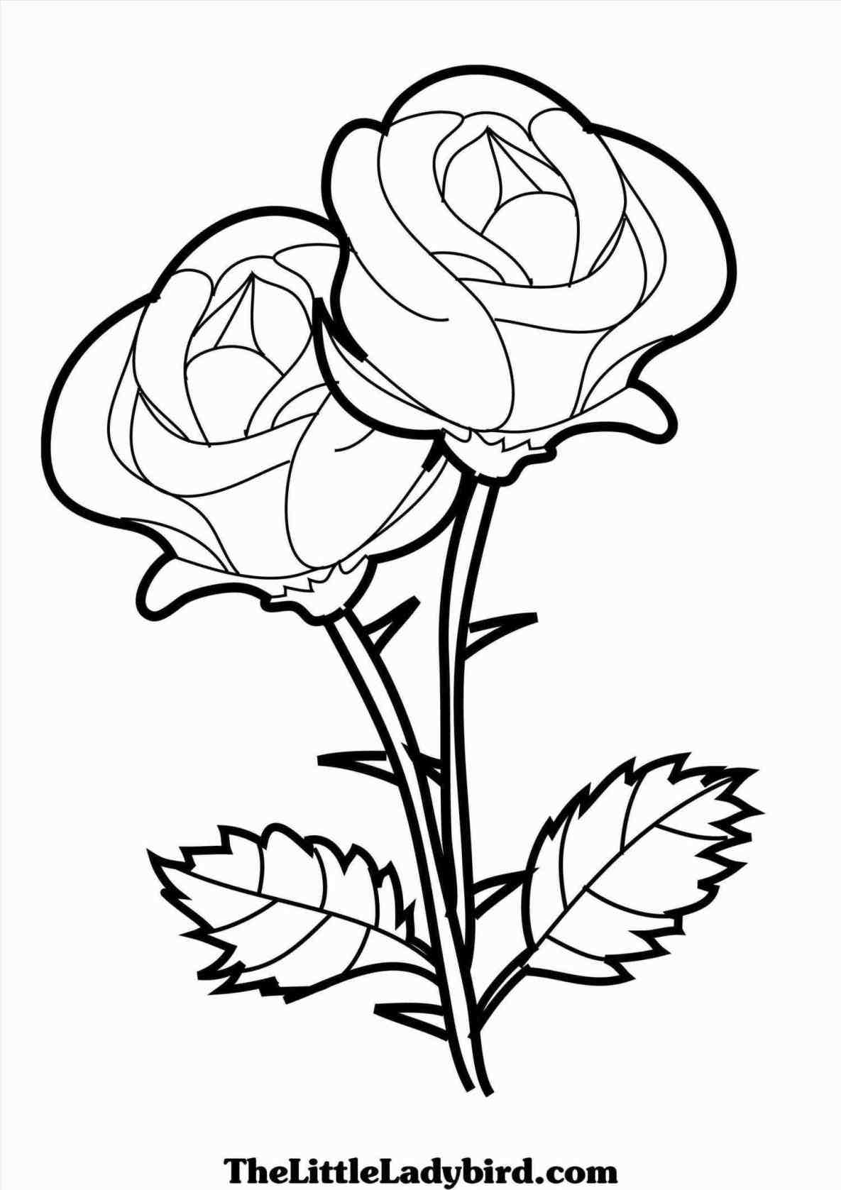 1185x1677 Of Hearts With Ribbons Roses Heart Tattoo Drawing Photos Pink