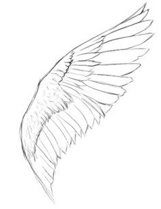 236x305 Pen Amp Ink Drawing Tutorials How To Draw Wings Artsy Tidbits