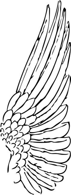 236x642 Christian Symbol Black Line Art For Kids Angel Wings Clip Art