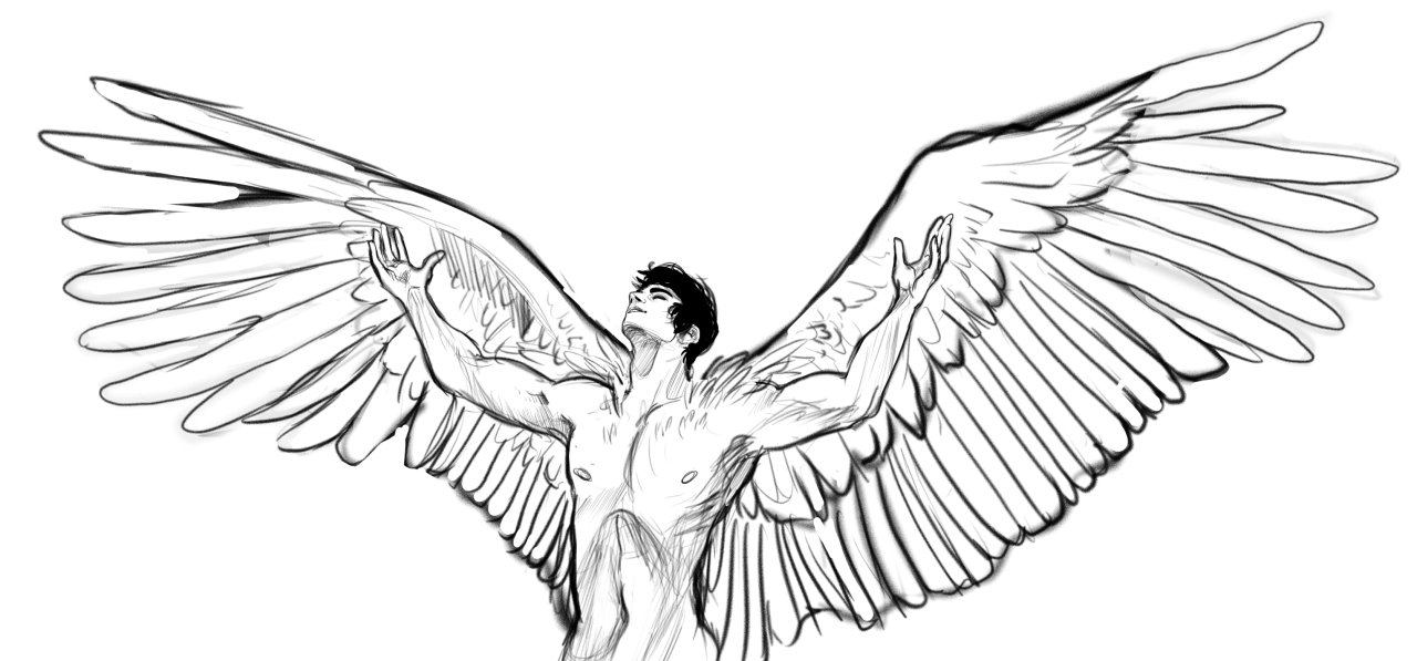 1280x597 For Feathers Great And Small Photo Color Me Feathers