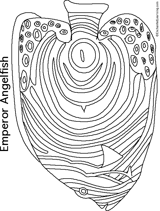 558x735 Angelfish Printout (Simple)