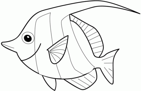 480x310 Angelfish Coloring Page Free Printable Coloring Pages