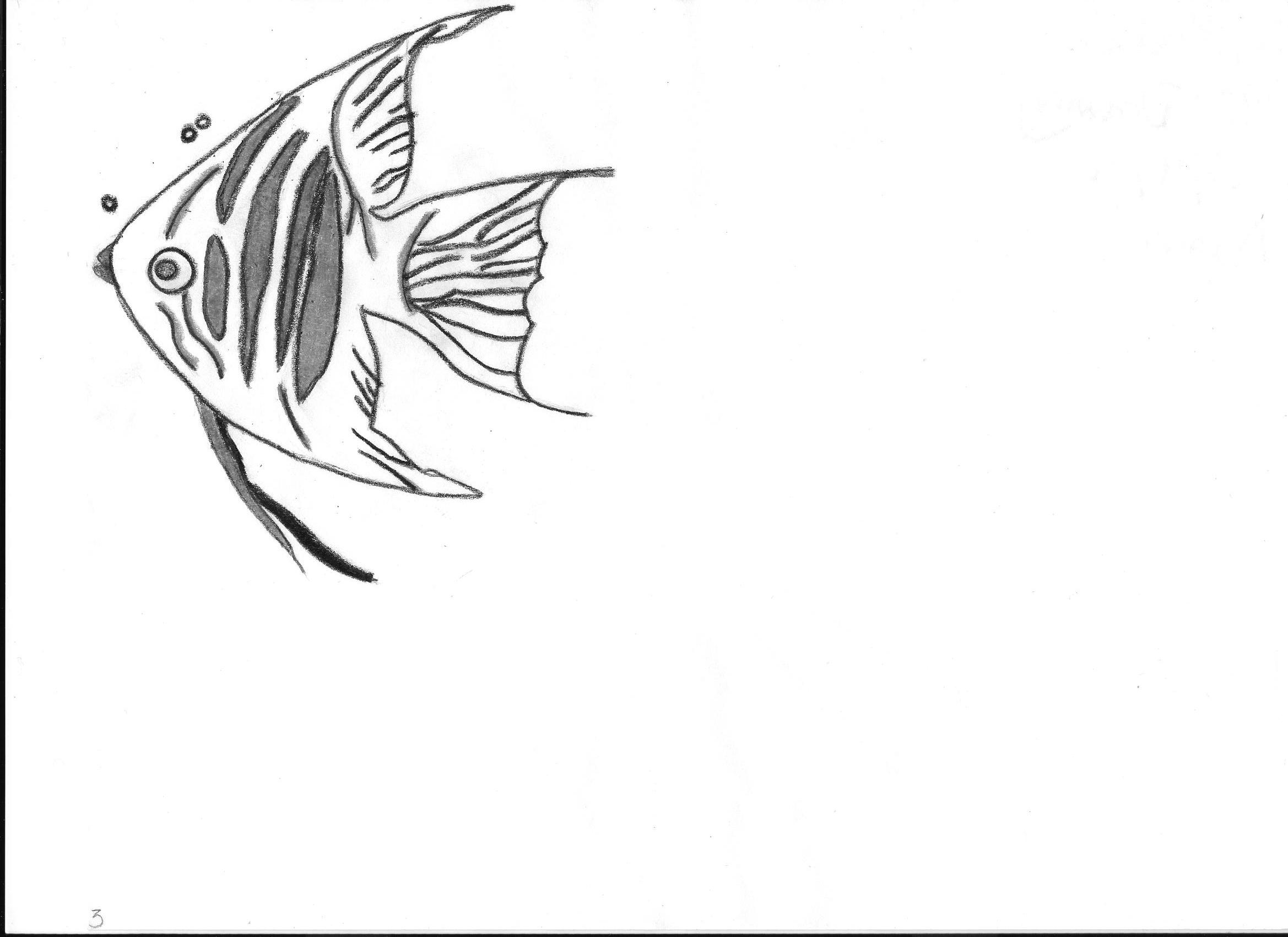 2338x1700 Drawn Angelfish Anime
