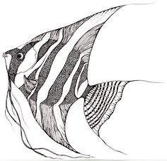 236x227 How To Draw Angelfish Step By Step