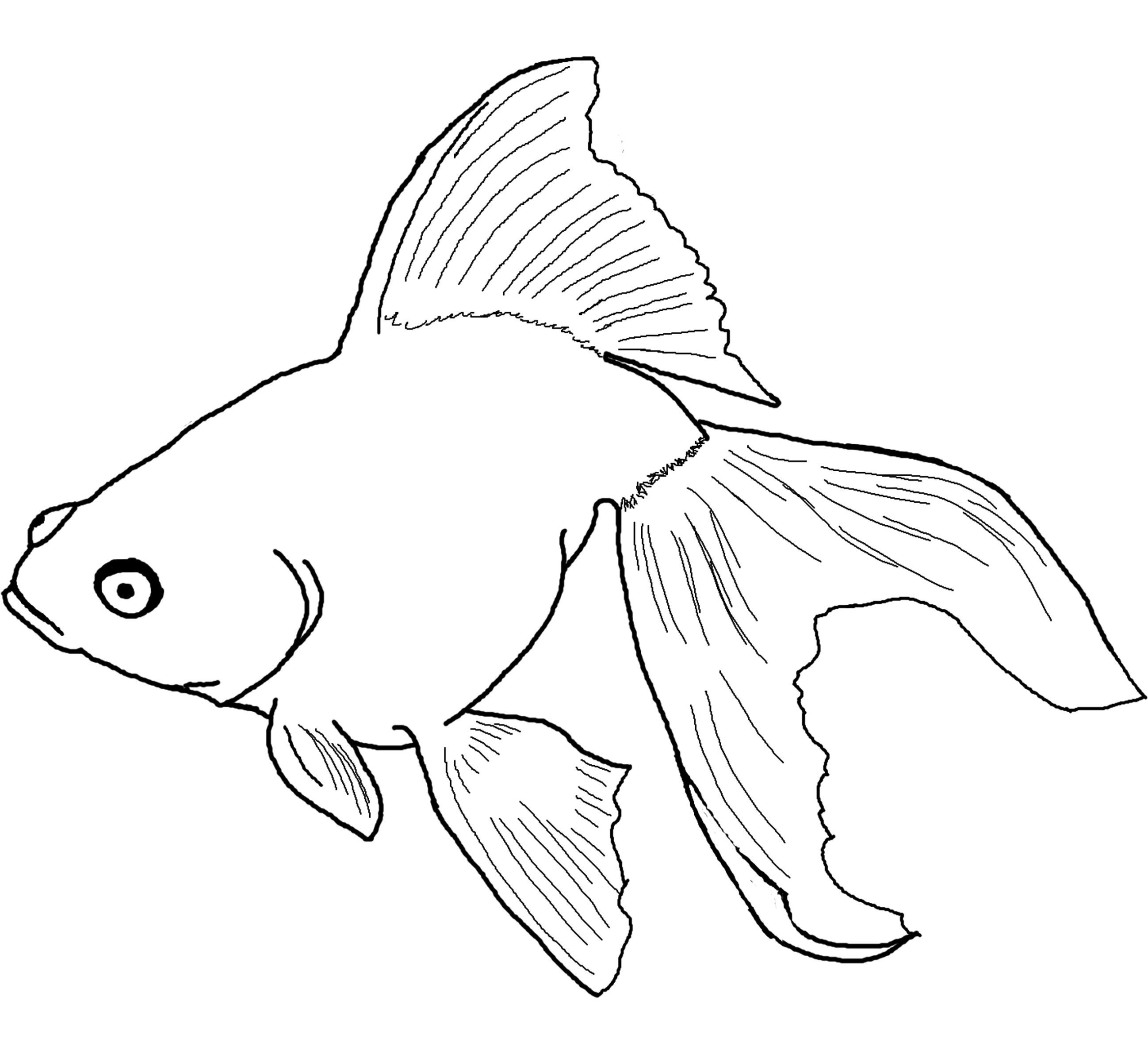 2596x2400 Small Fish Coloring Pages Coloring Pages Drawing Ideas