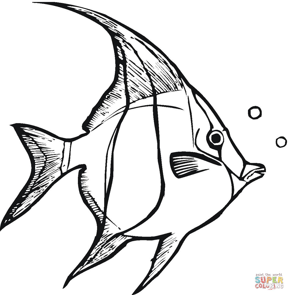 1176x1200 Angelfish 3 Coloring Page Free Printable Coloring Pages