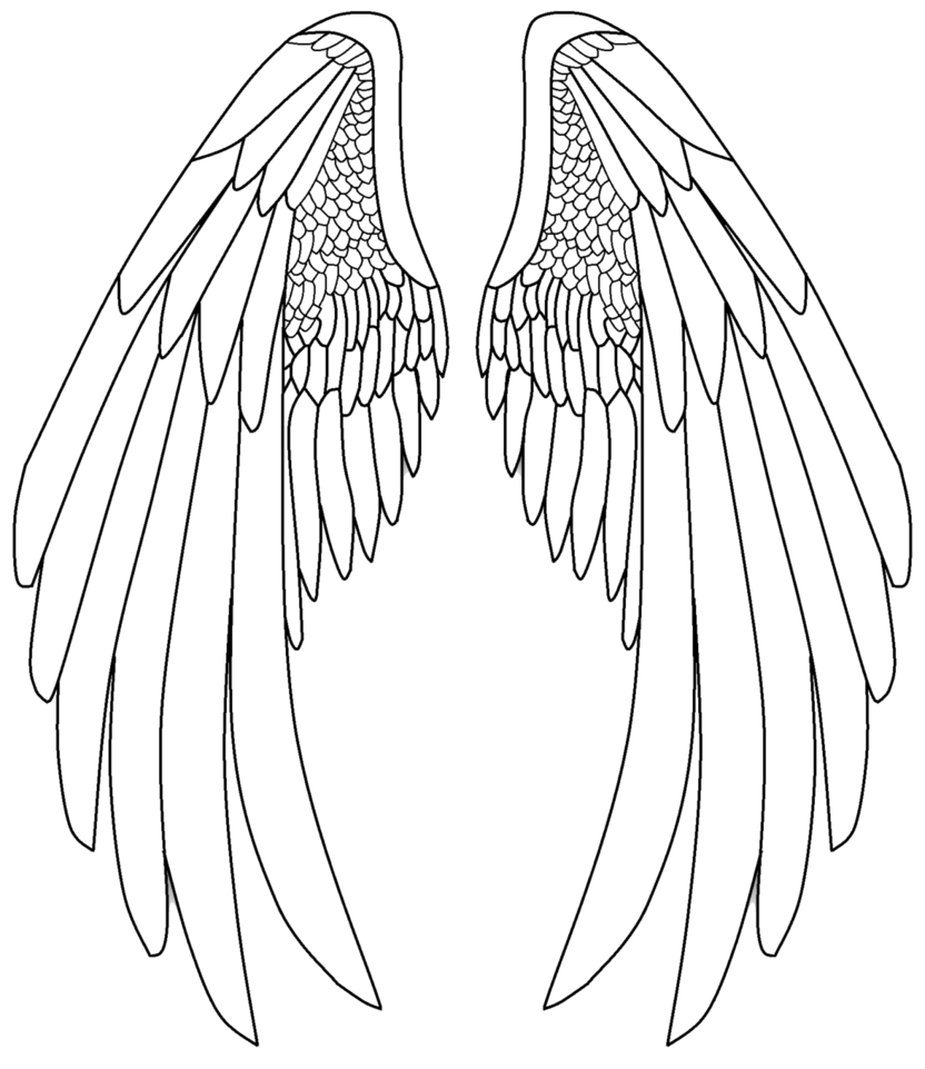 832x961 Pencil Drawings Angel Wings Drawings In Pencil