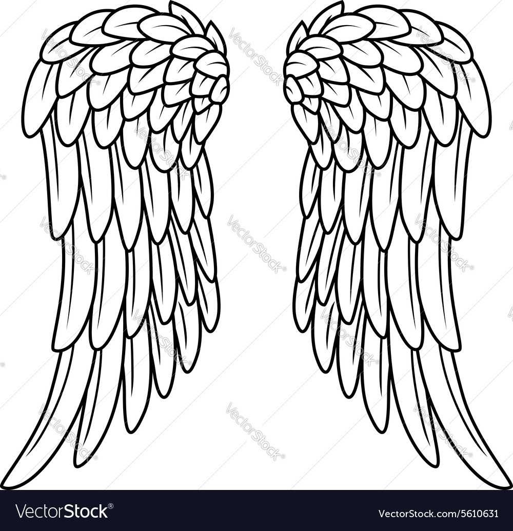 1000x1035 Angel Wing Cartoon Drawings