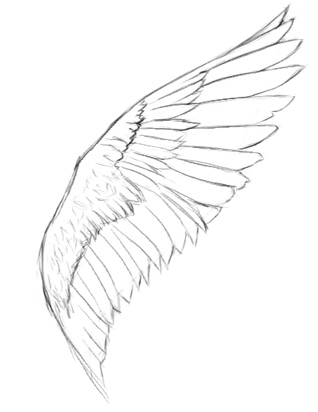 318x412 How To Draw Angel Wings