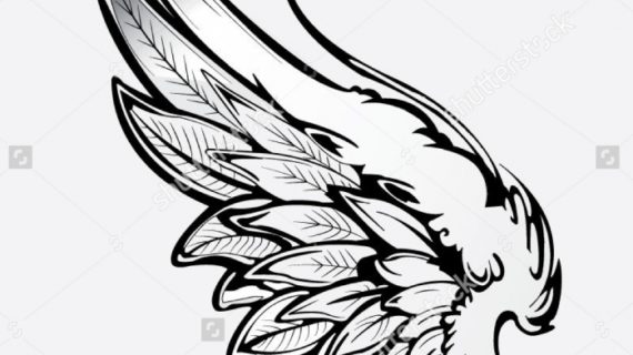 570x320 Angel Wing Drawing Eagle Wings Stock Photos Images Amp Pictures