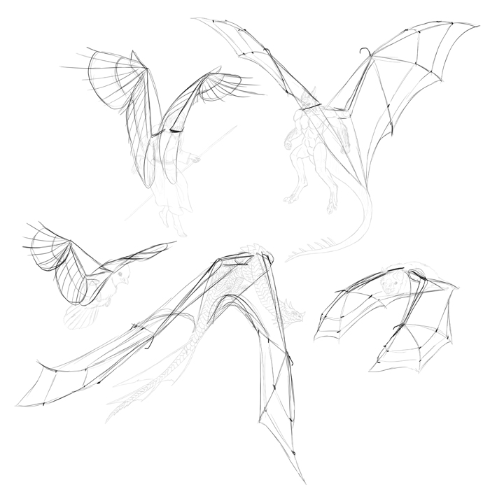 700x706 How To Draw And Animate Wings Birds, Bats, And More