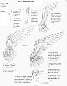 Angel Wing Drawing Tutorial at GetDrawings | Free download