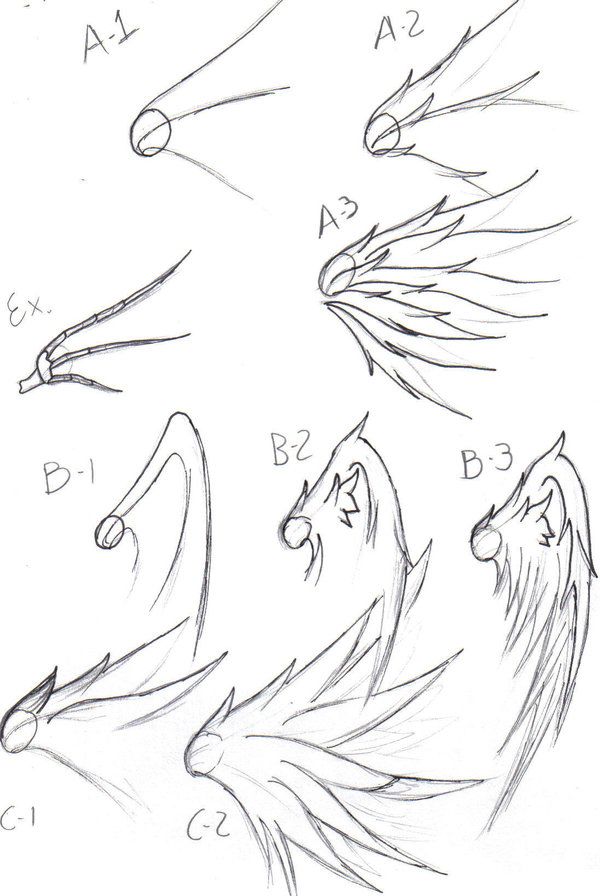 600x896 Pictures How To Draw Anime Wings,