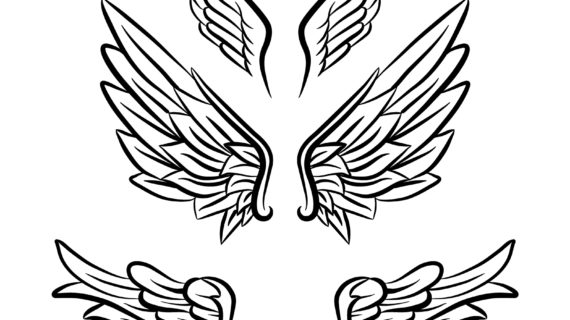 570x320 Angel Wings Line Drawing Angel Wings 2 By Fighttheassimilation