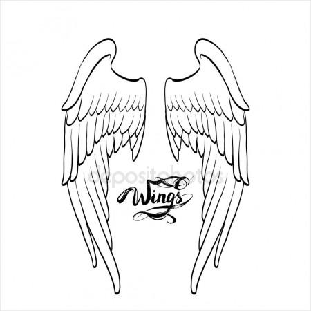 450x450 Angel Wings, Lettering, Drawing Vector Stock Vector Tanshy