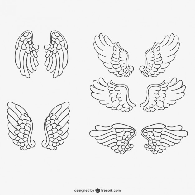626x626 Angel Wings Vector Free Download