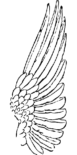 250x500 Outline, Feather, Angel, Birds, Bird, Wing, Wings