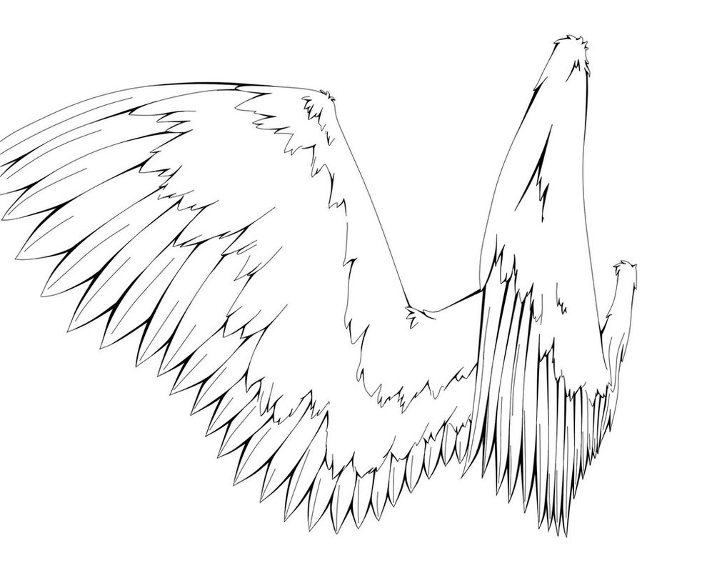 1004x795 Angel Wings Line Art By I7xdead