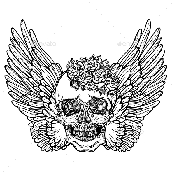 590x590 Line Art Illustration Of Angel Wings With Skull By Vavavka