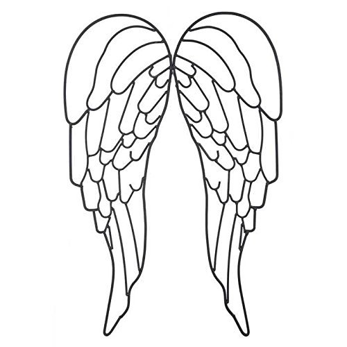 500x500 Angel Wings Art