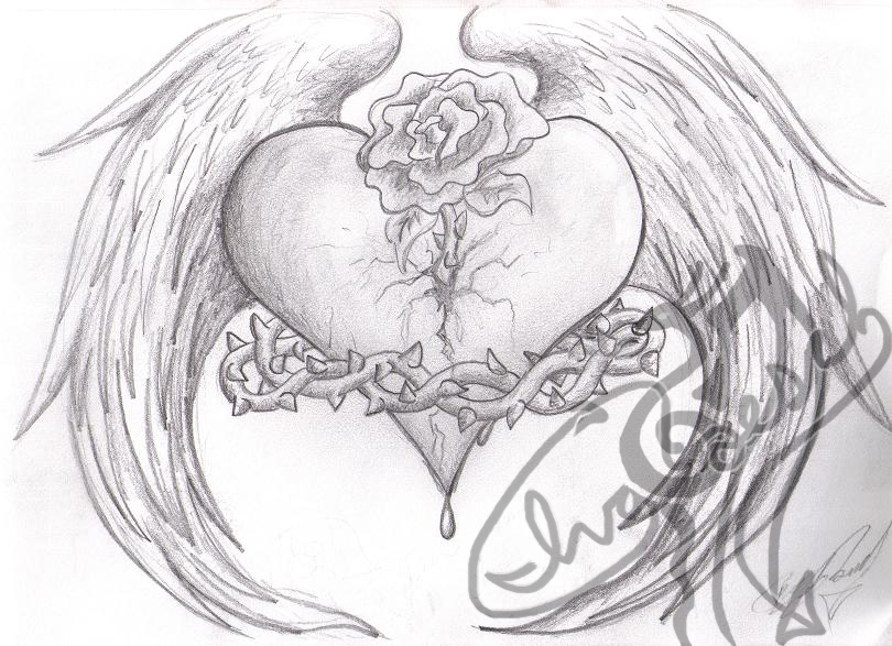 810x587 Wings Of Love Sketch By Ivaicedragoon