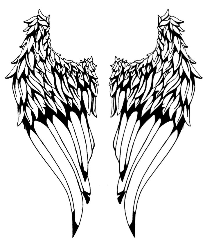 706x842 Closed Angel Wing Drawings