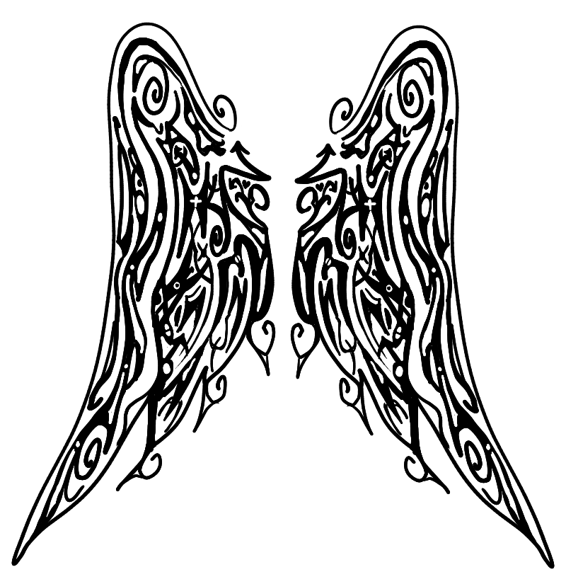 800x825 Raychel Angel Wings By Kgx2001