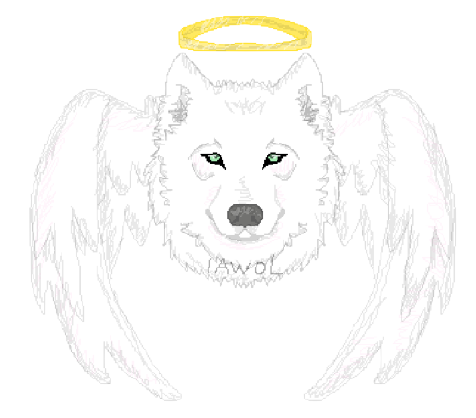954x838 Angel Wolf By Imawasteoflife