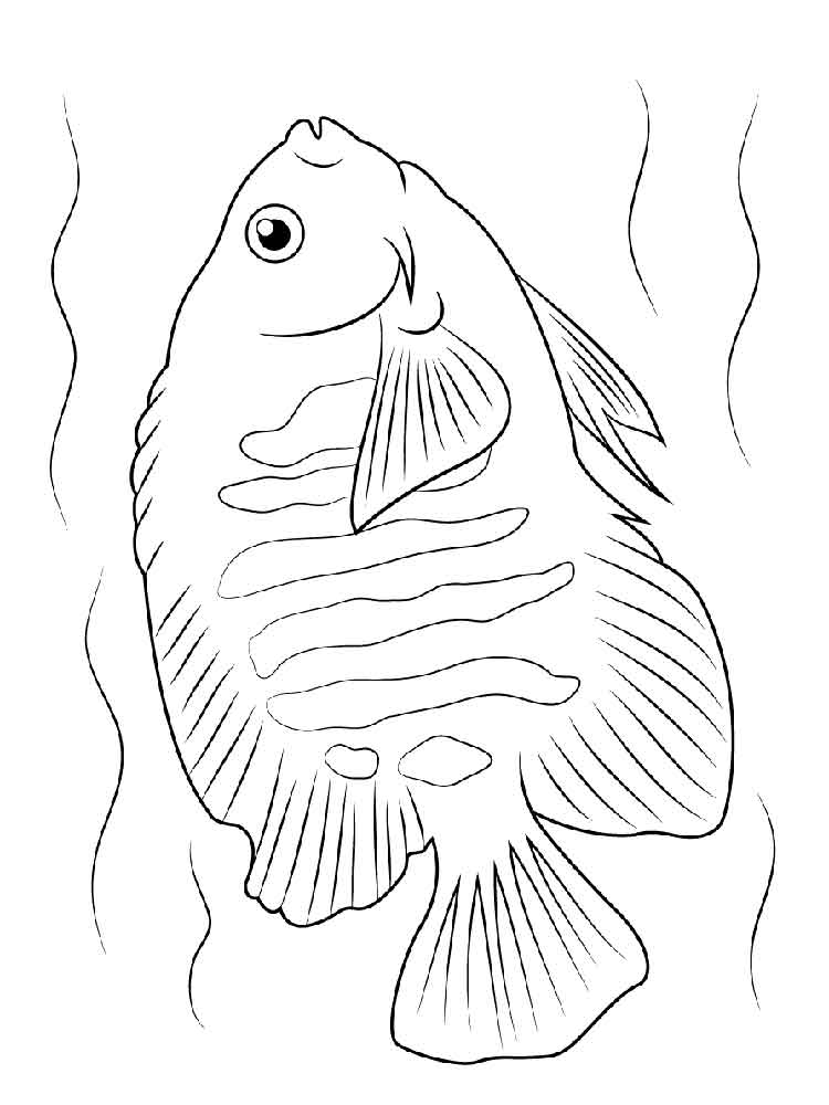 750x1000 Angelfish Coloring Pages. Download And Print Angelfish Coloring Pages.