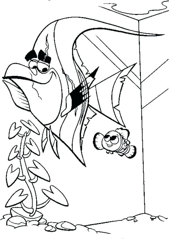 600x816 Angel Fish Coloring Page