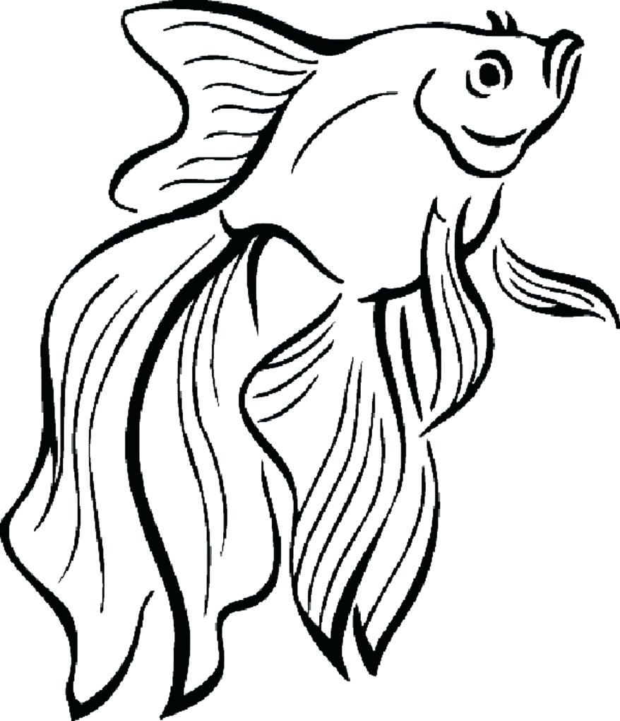 878x1020 Coloring Angel Fish Coloring Page Printable Download Pages Large