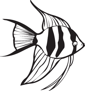 291x310 Drawn Fishing Angelfish