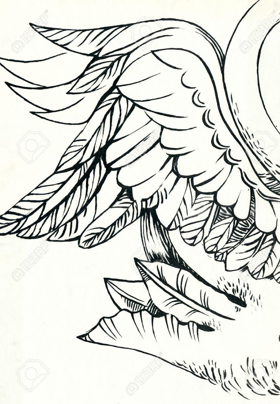 903x1300 Angel Wings