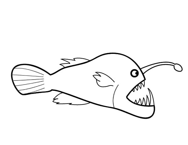 600x463 Drawing Angler Fish Coloring Pages Best Place To Color