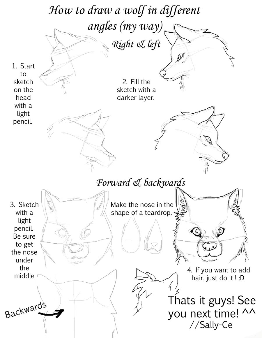 900x1160 How To Draw S Wolf In Different Angles By Sally Ce