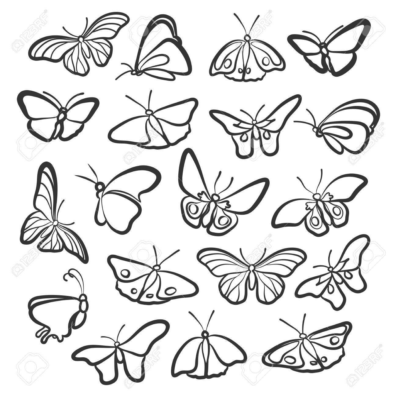 1300x1300 Nineteen Icons Butterflies. The Different Angles. Royalty Free