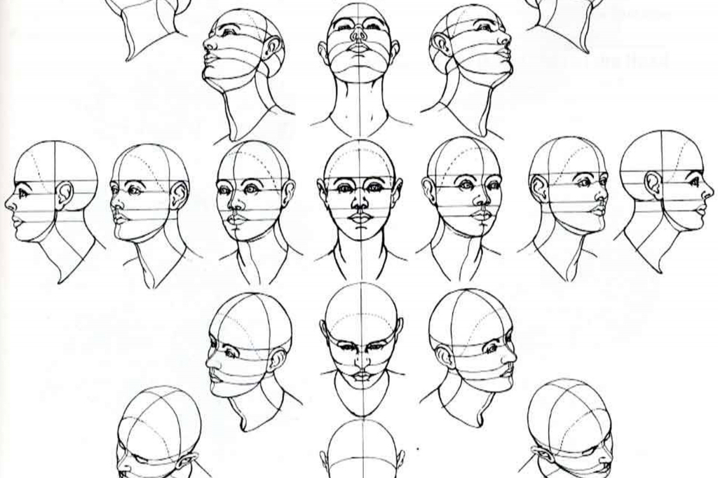 1024x682 Pictures Face Angles Drawing,