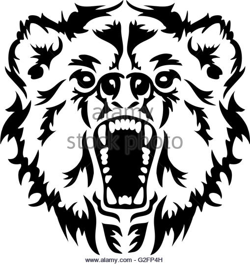 509x540 Angry Brown Bear Black And White Stock Photos Amp Images
