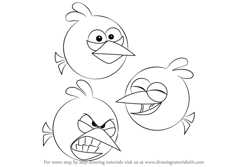 800x564 Learn How To Draw The Blues From Angry Birds (Angry Birds) Step By