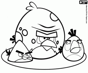 300x250 Angry Birds Coloring Pages Printable Games