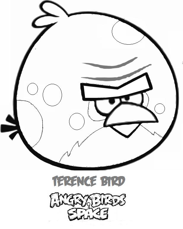 617x770 Angry Bird Space Cute Cartoon Wallpaper
