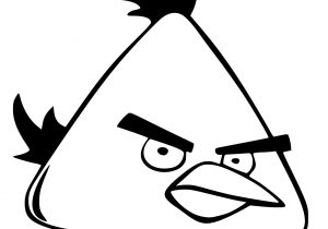 300x210 Angry Birds Drawing Templates