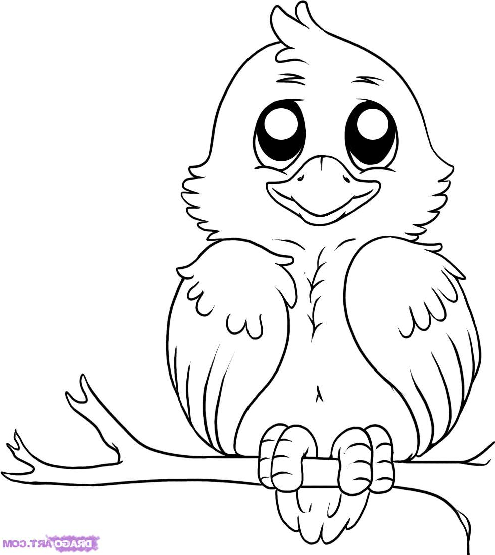 988x1107 How To Draw Red Angry Birds In Pencil