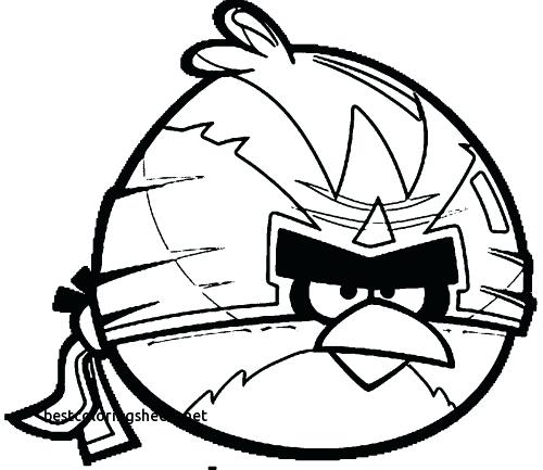 500x433 Angry Birds Go Coloring Birds Pictures To Color Large Size