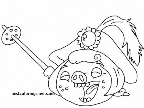 500x375 Elegant Coloring Pages Of Angry Birds Epic Best Coloring Pages
