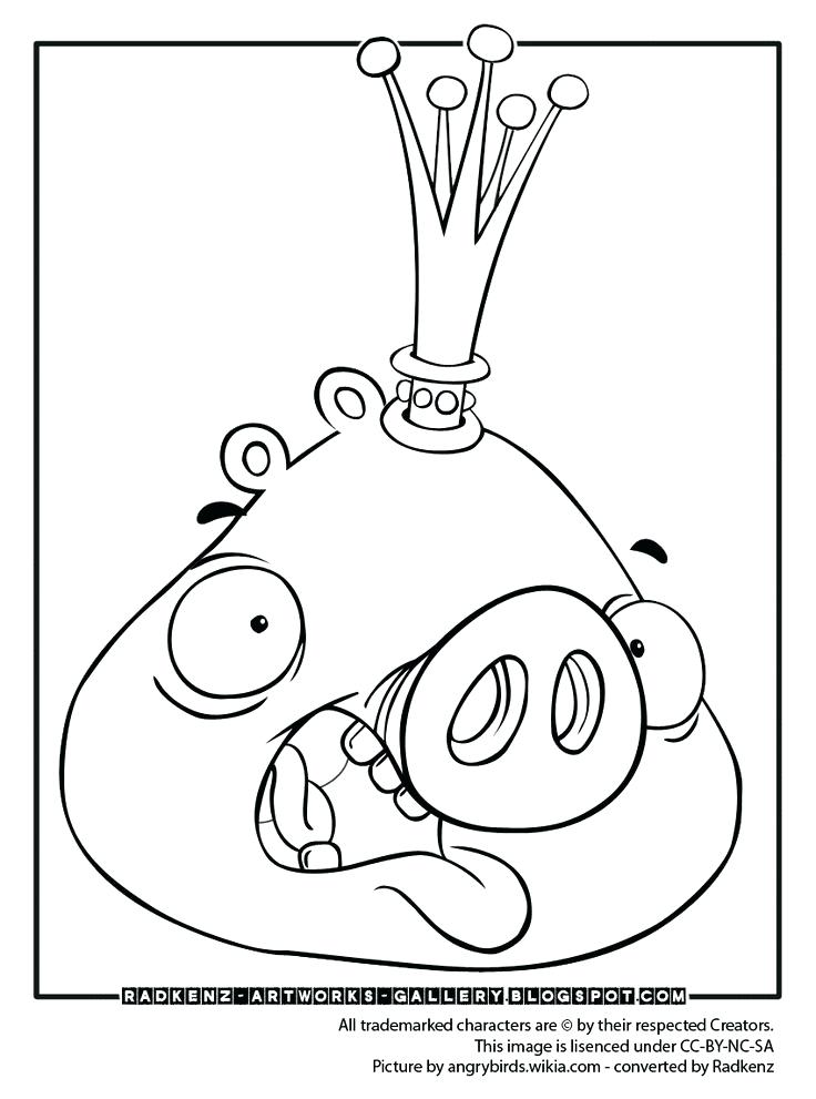 736x991 Angry Birds Coloring Page Angry Bird Epic Coloring Pages Birds