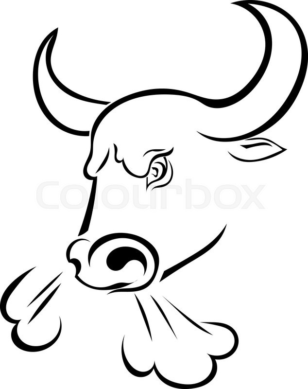 634x800 Angry Bull's Head With The Steam From His Nostrils Isolated