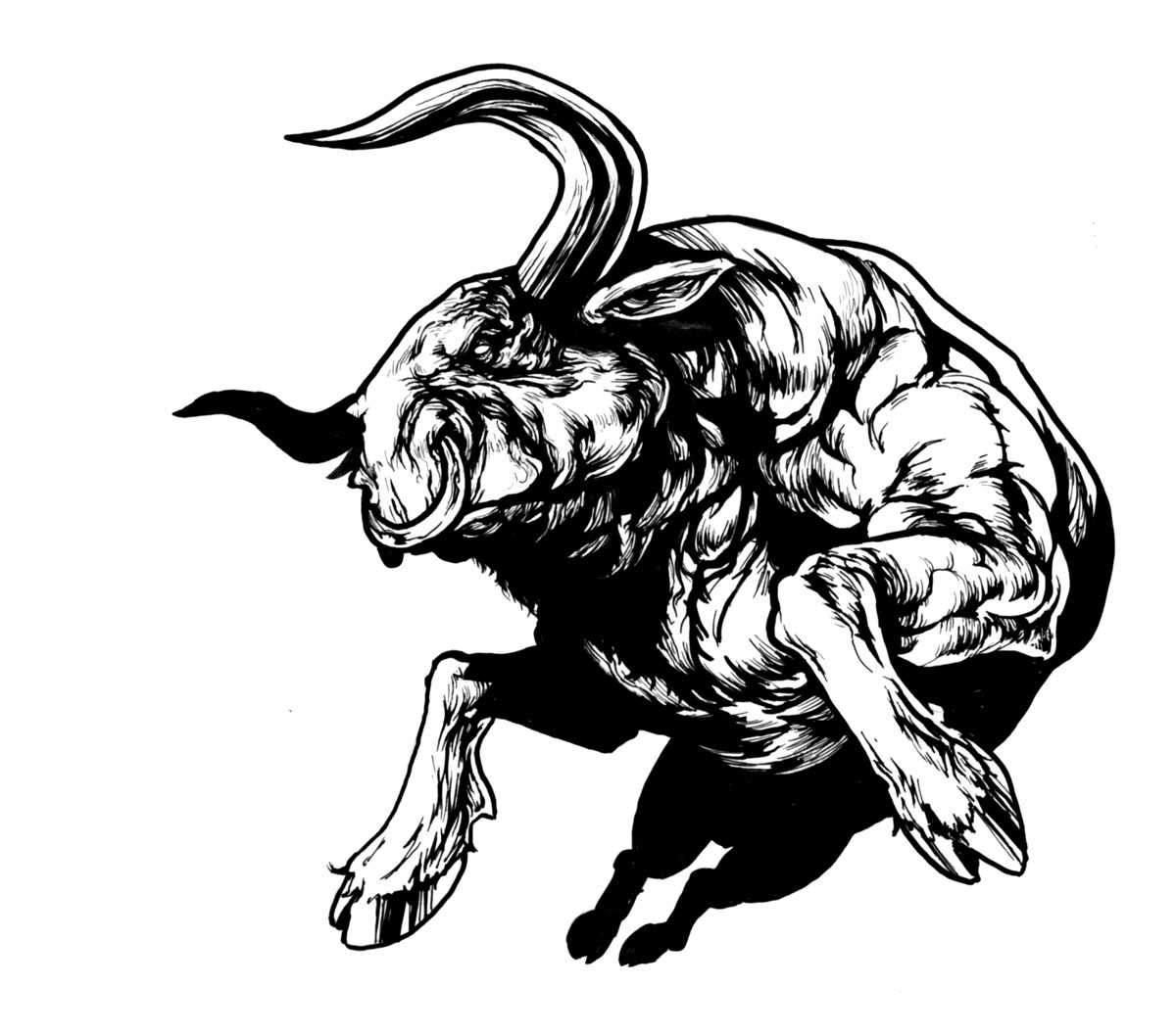 1200x1056 Bull Drawing
